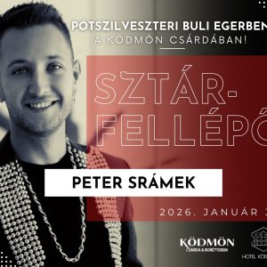 Pótszilveszteri Party jegy